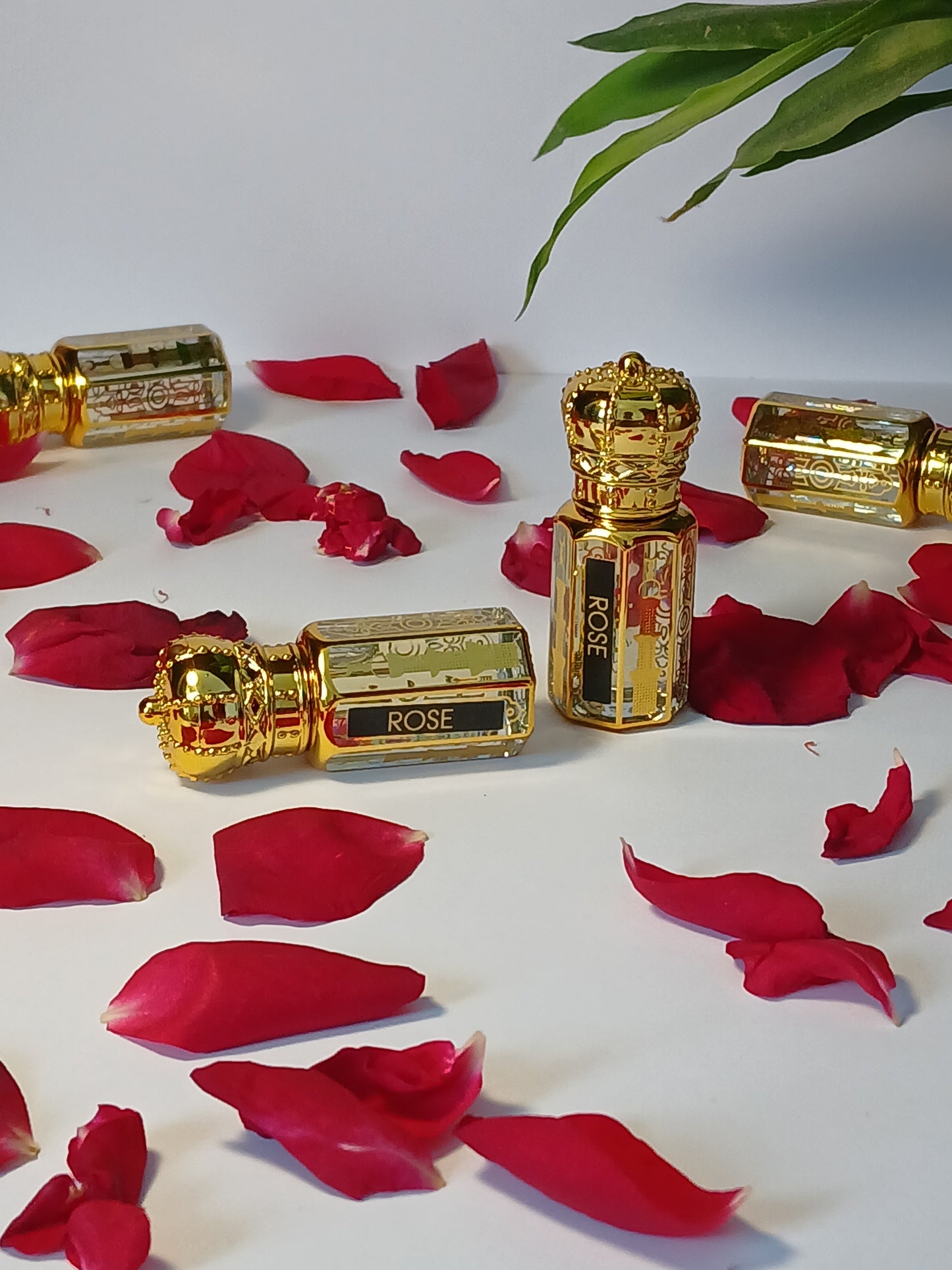 VIBRANT VIBES Luxury Rose Attar for Women, Long Lasting Fragrance